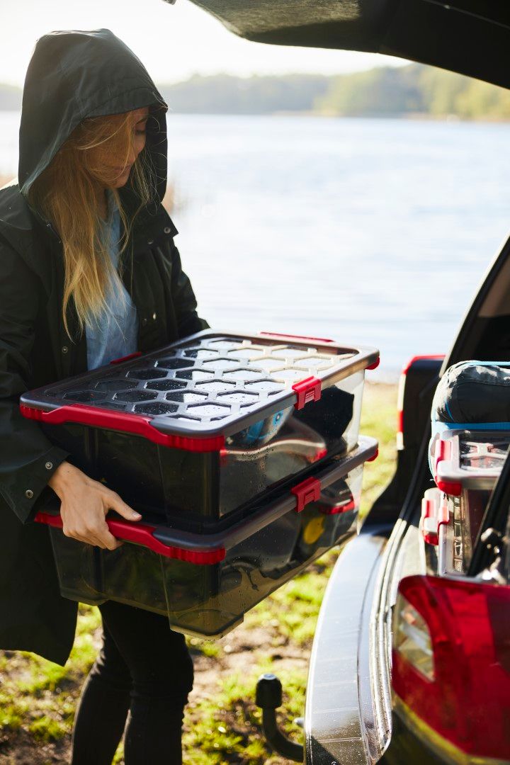 Rotho Box 30 l EVO TOTAL