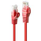 Lindy Basic - Patch-Kabel - RJ-45 (M) bis RJ-45 (M)