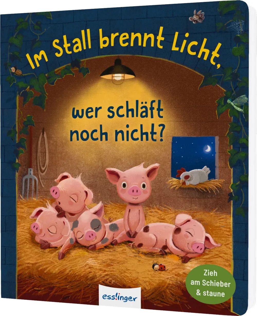 Thienemann - Esslinger Verlag GmbH Im Stall brennt Licht, wer schläft noch