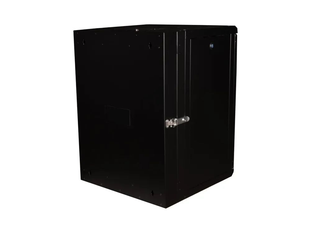 ROLINE Pro - Gehäuse - geeignet für Wandmontage - RAL 9005, Jet Black - 16U - 48.3 cm (19")