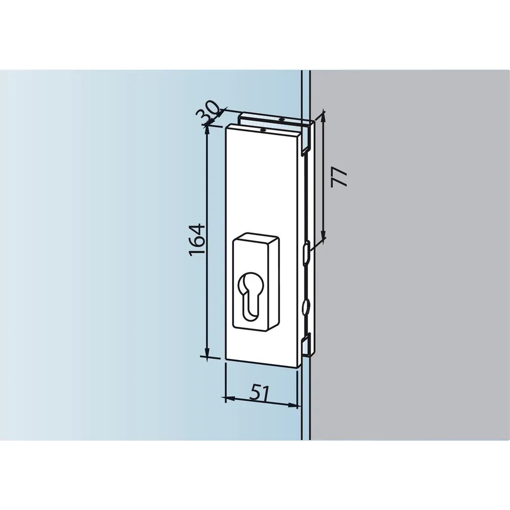 DORMA-Glas Mittelschloss US 20, PZ-vorgerichtet, 10 mm, silber eloxiert (03.215)
