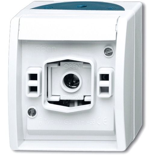 Busch-Jaeger LICHTSIGNAL / BUSCH 2661 W-53 2CKA001582A0305
