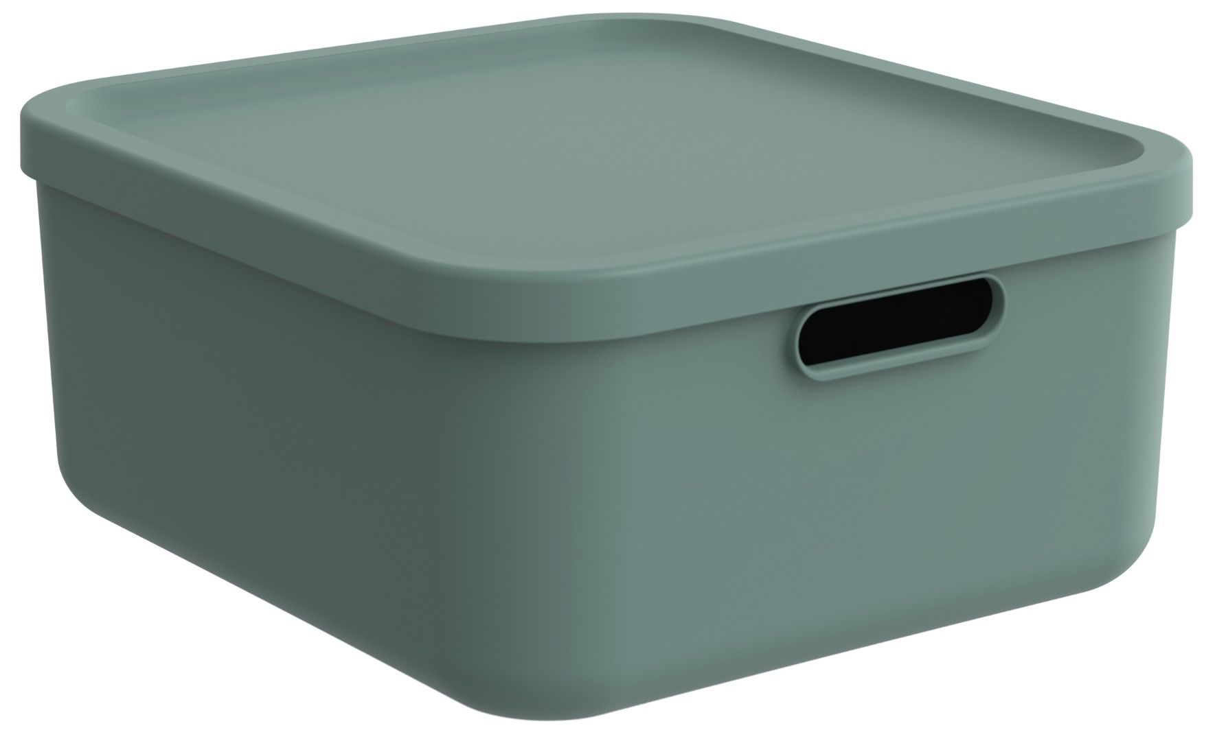 Rotho Box 20 l ALBULA LIGHT