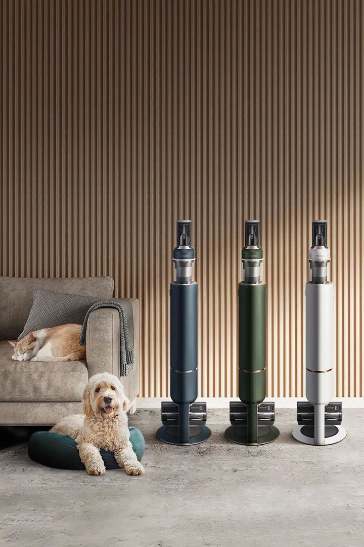 Samsung VS20B95973B Bespoke Jet Clean