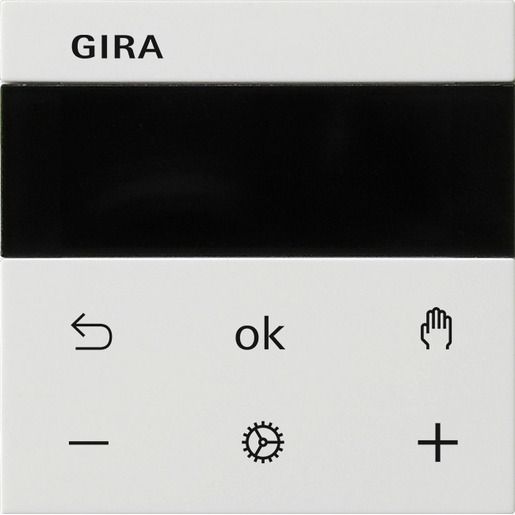 Gira RTR DISPLAY SYSTEM 3000 / GIRA 539303 SYSTEM 55 RWS 539303