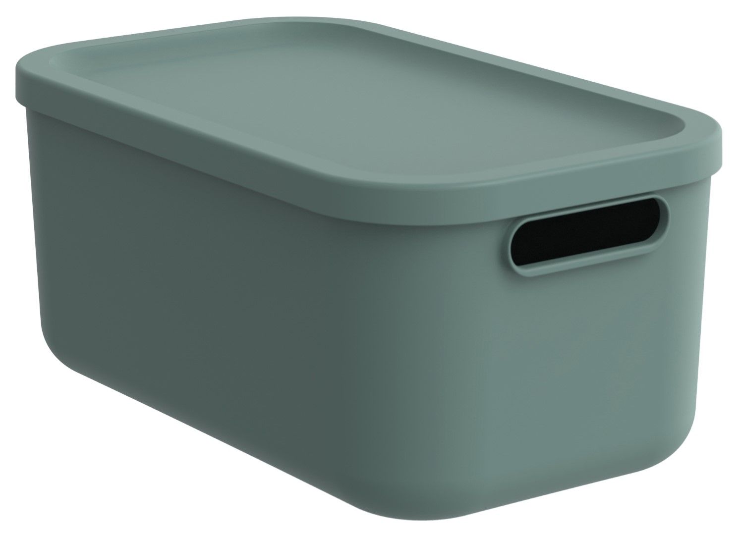 Rotho Box 12 l ALBULA LIGHT