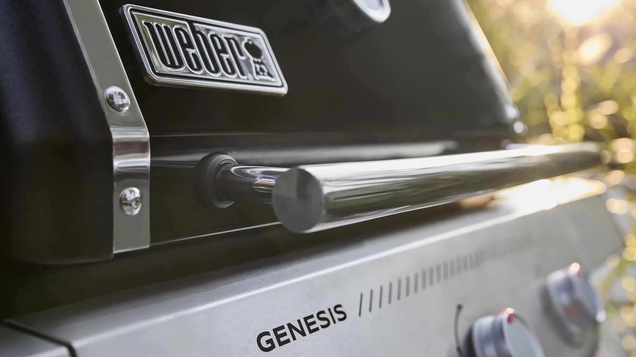 Weber GENESIS E-335W