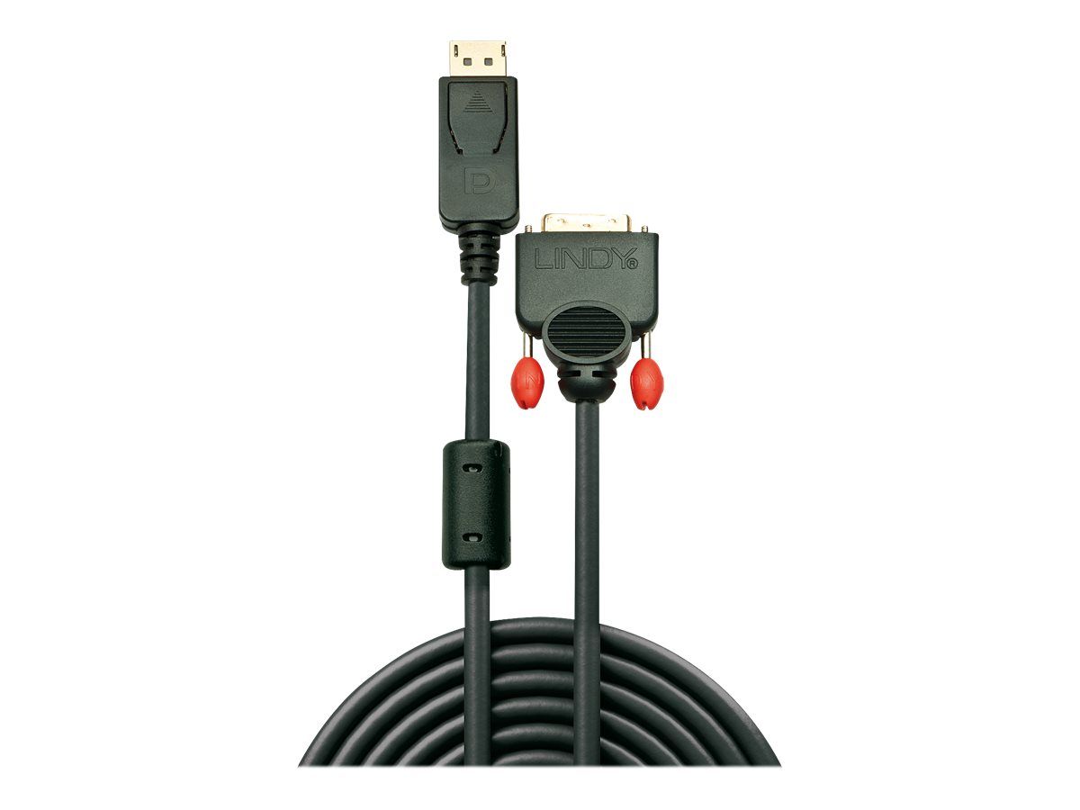 Lindy DisplayPort-Kabel - DisplayPort (M)