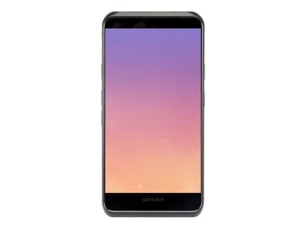SpectraLink Versity 9540 - 3G Smartphone - RAM