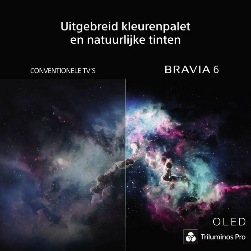 Sony Bravia 6 K48A69PB