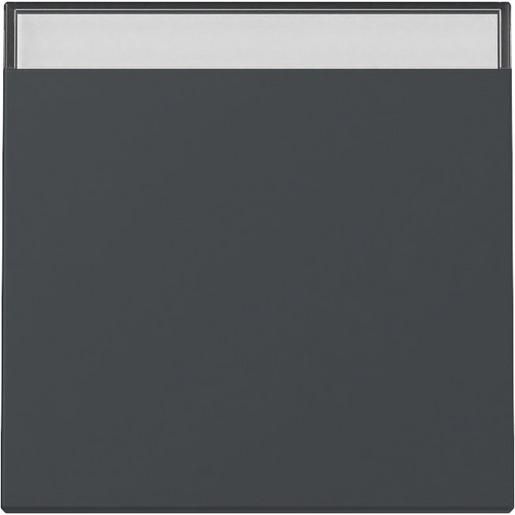 Gira WIPPE BSF SYSTEM 55 ANTHRAZIT / GIRA 329928 SYSTEM 55 329928