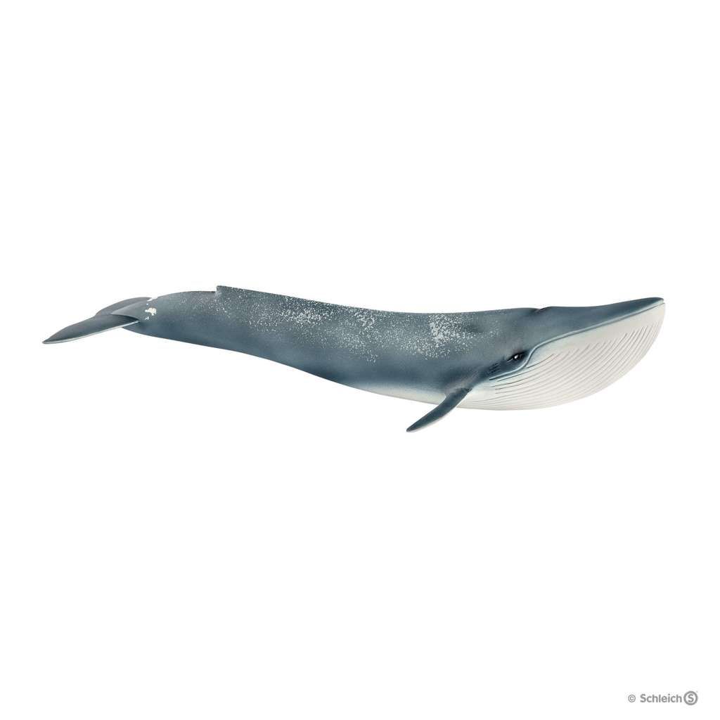 Schleich Blauwal