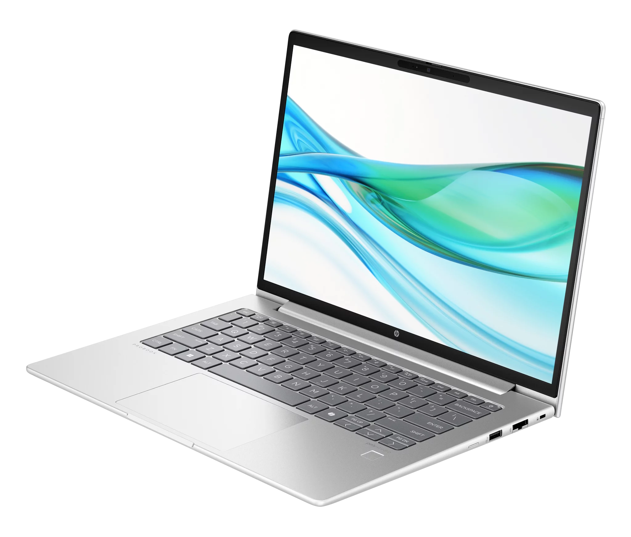 HP ProBook 460 G11 Pike Silver, Core Ultra 5 125U