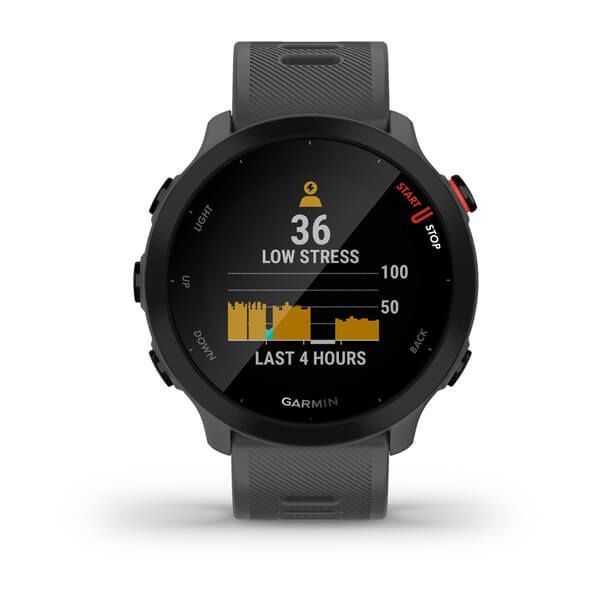 Garmin Forerunner 55 Dunkelgrau/Schwarz