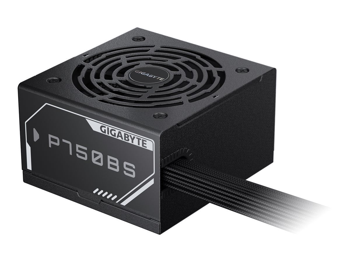 Gigabyte P750BS - Netzteil (intern) - ATX12V