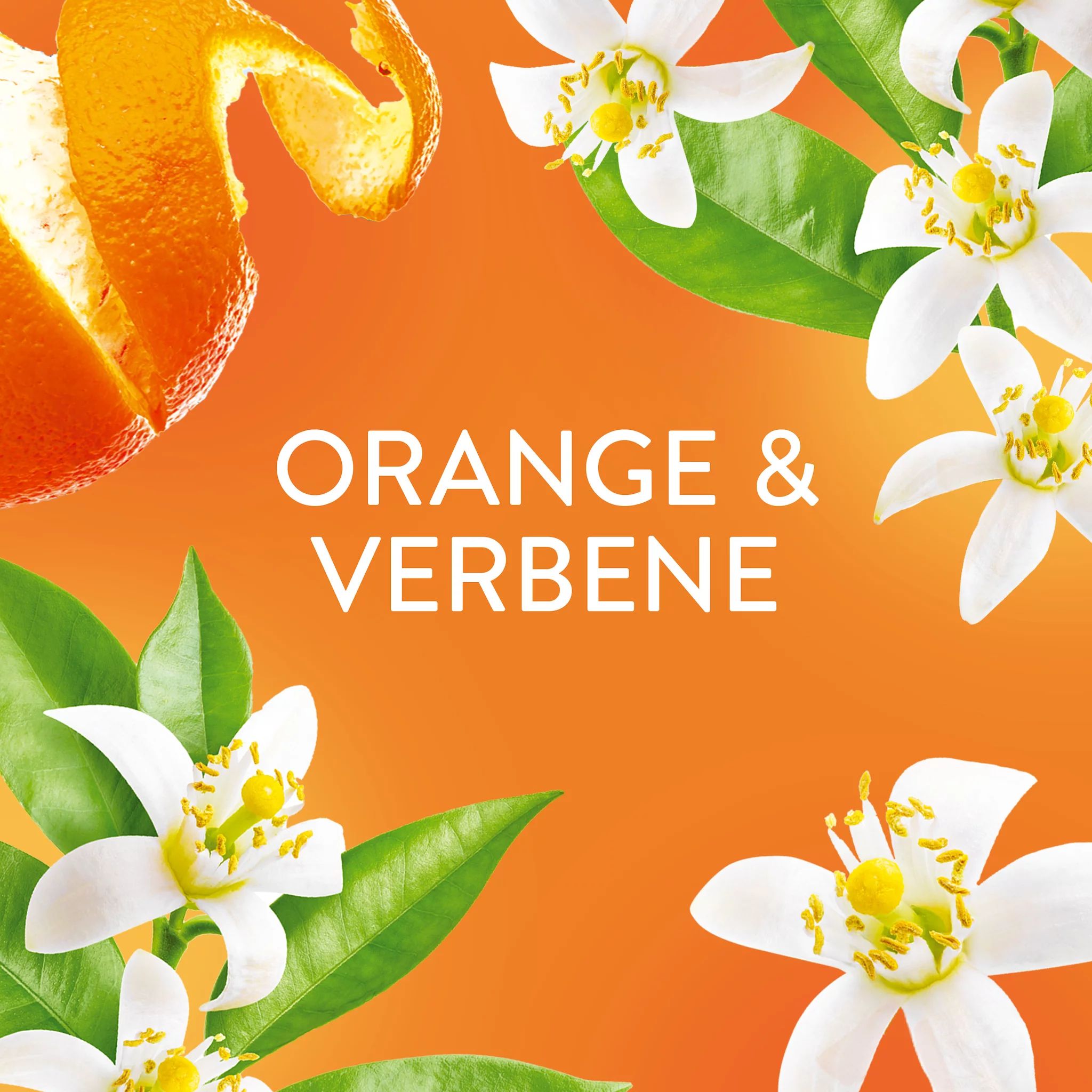 Lenor WSP Orange & Verbena Duo-Pack 2x59WL
