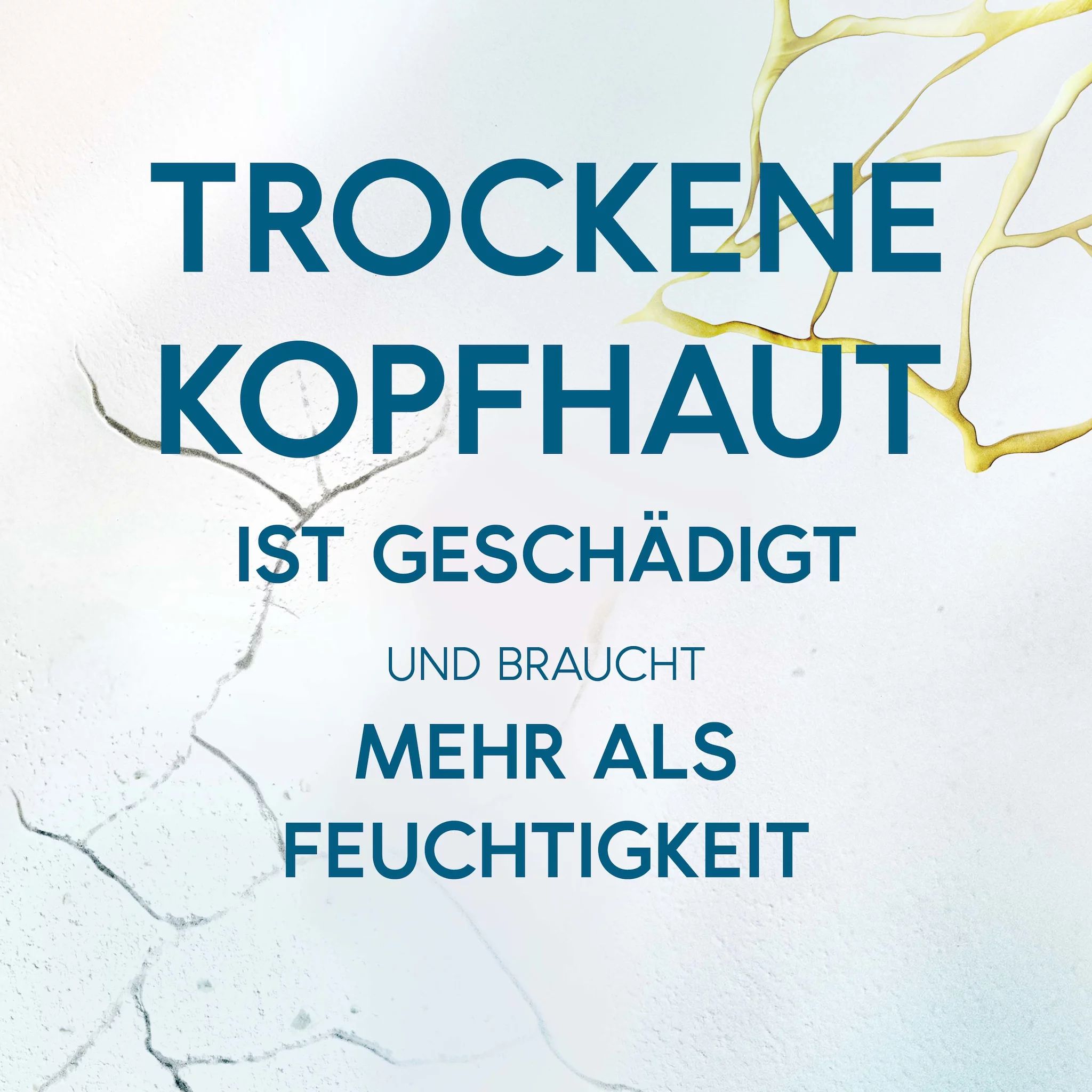 Head & Shoulders Derma x Pro Kopfhautmaske Beruhigend