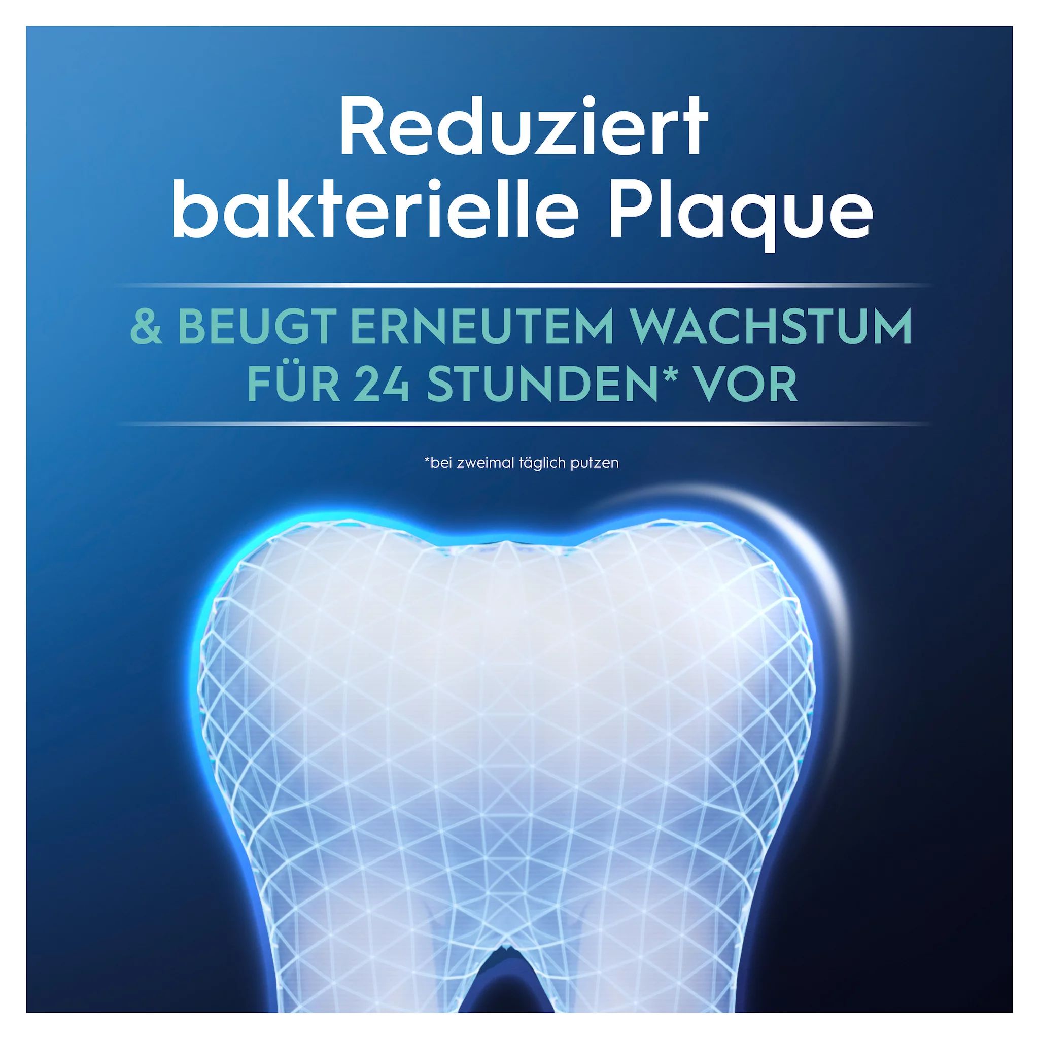 Oral-B Professional Plaque Prophylaxe