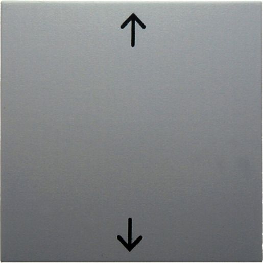 Berker WIPPE M.SYMBOL PFEIL PWS / BERKER 16208919 GLÄNZEND S1 16208919