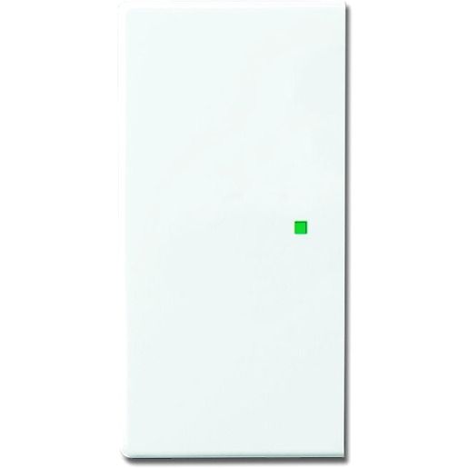 Busch-Jaeger WIPPE 2-FACH / BUSCH 6230-20-84 2CKA006220A0049