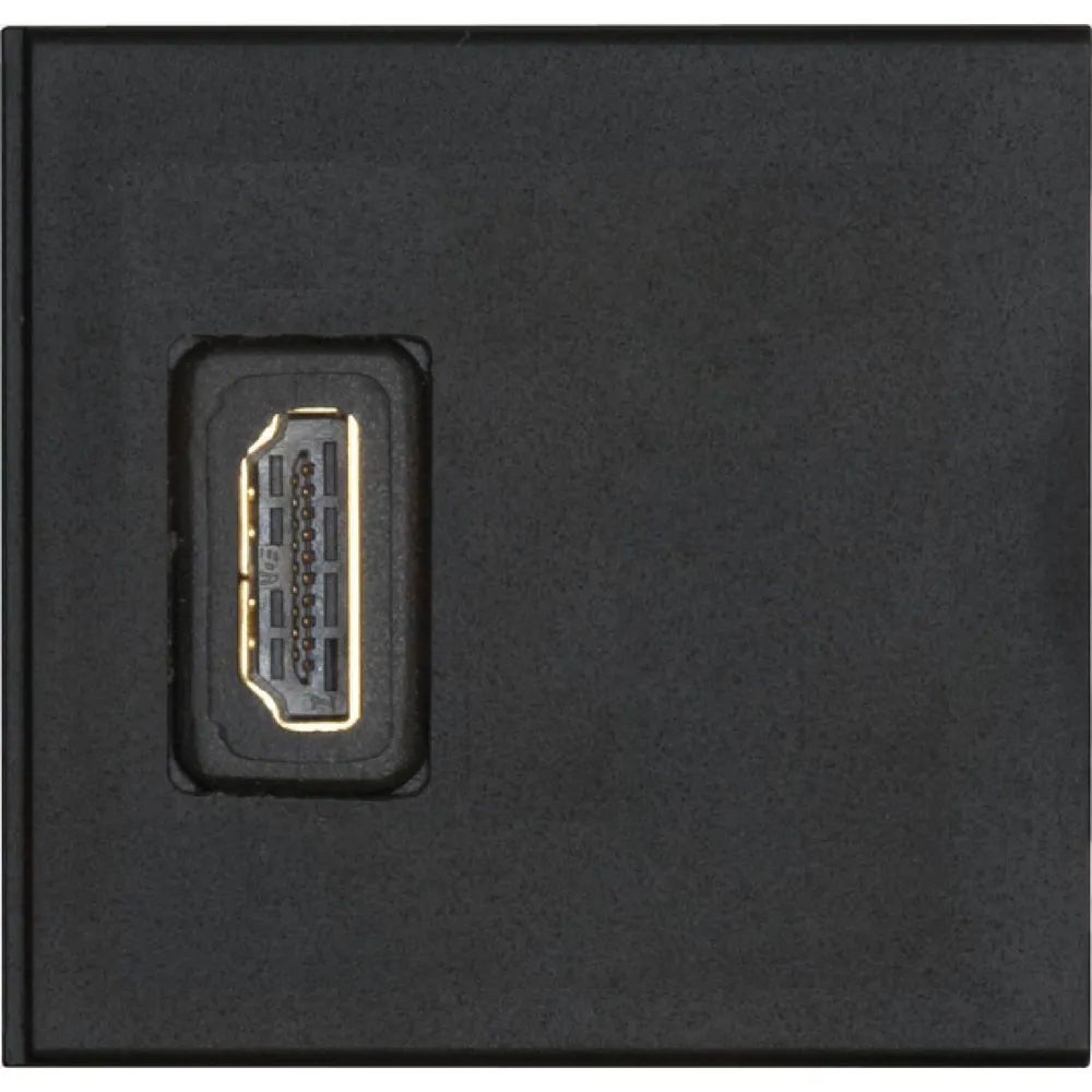 EVOline Wechselmodul 1xHDMI schwarz