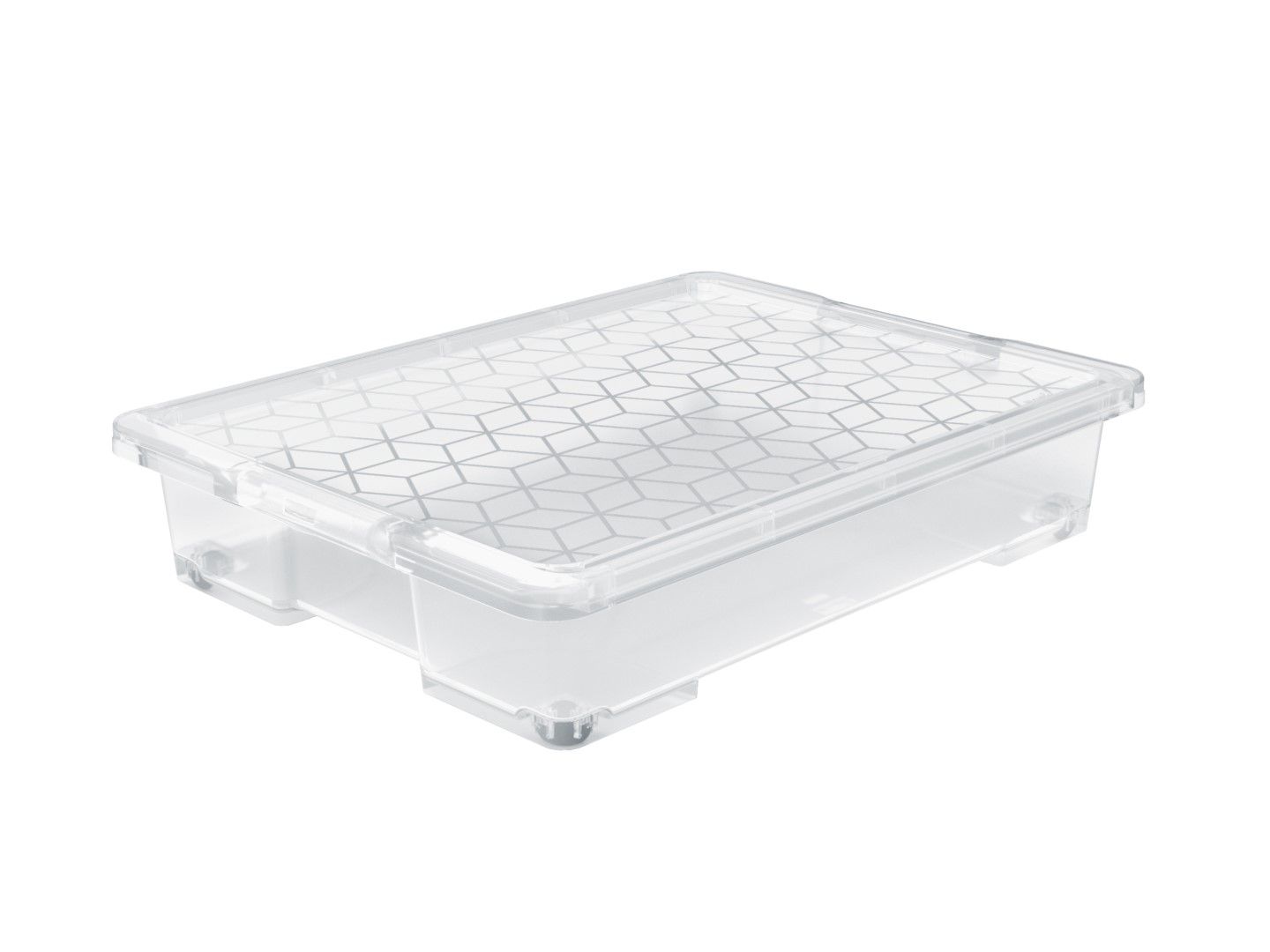 Rotho Unterbettbox 50 l EVO EASY