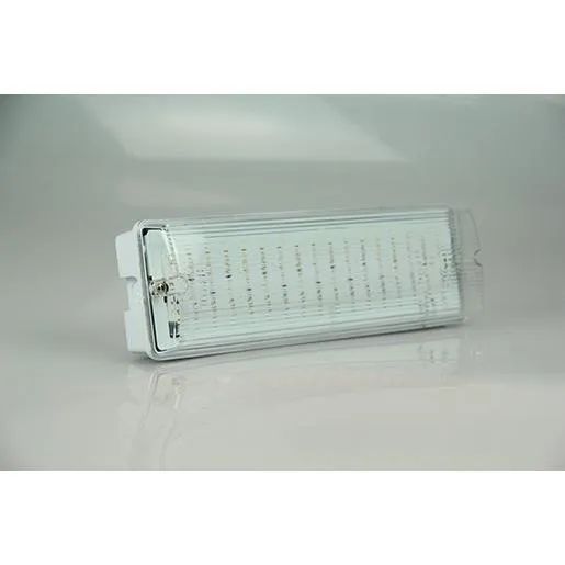 SpektraLed LED NOTLEUCHTE IP65 / SPEKTR AUTOTEST 3H 7W 10011530