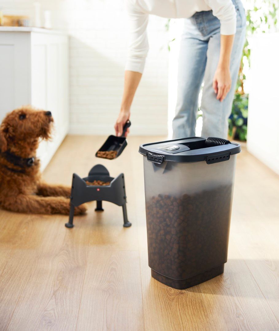 Rotho Cody Tierfutterbehälter 25 l