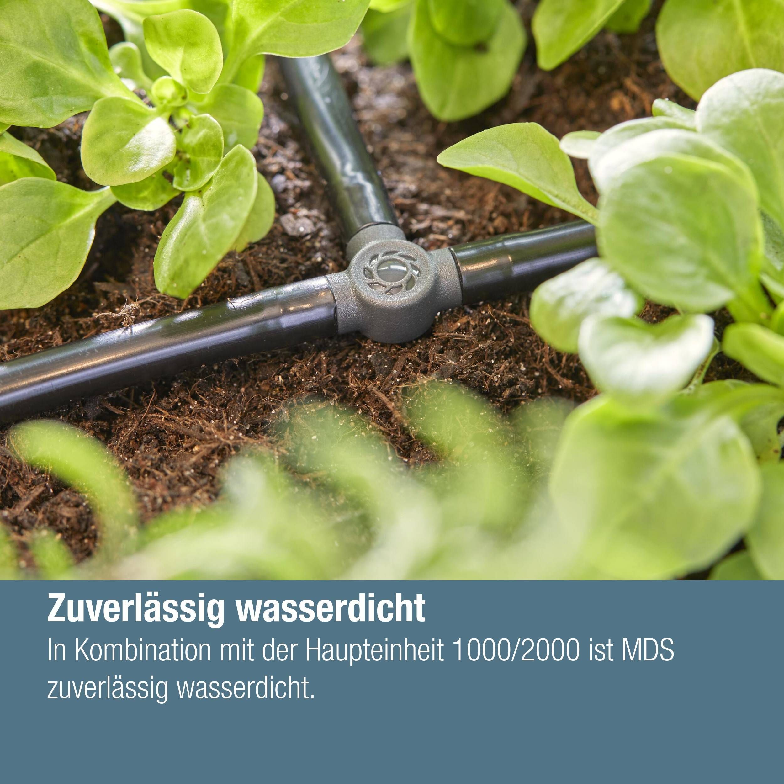 Gardena Micro-Drip-System T-Stück 4,6 mm (3/16") - Inhalt: 10 Stück