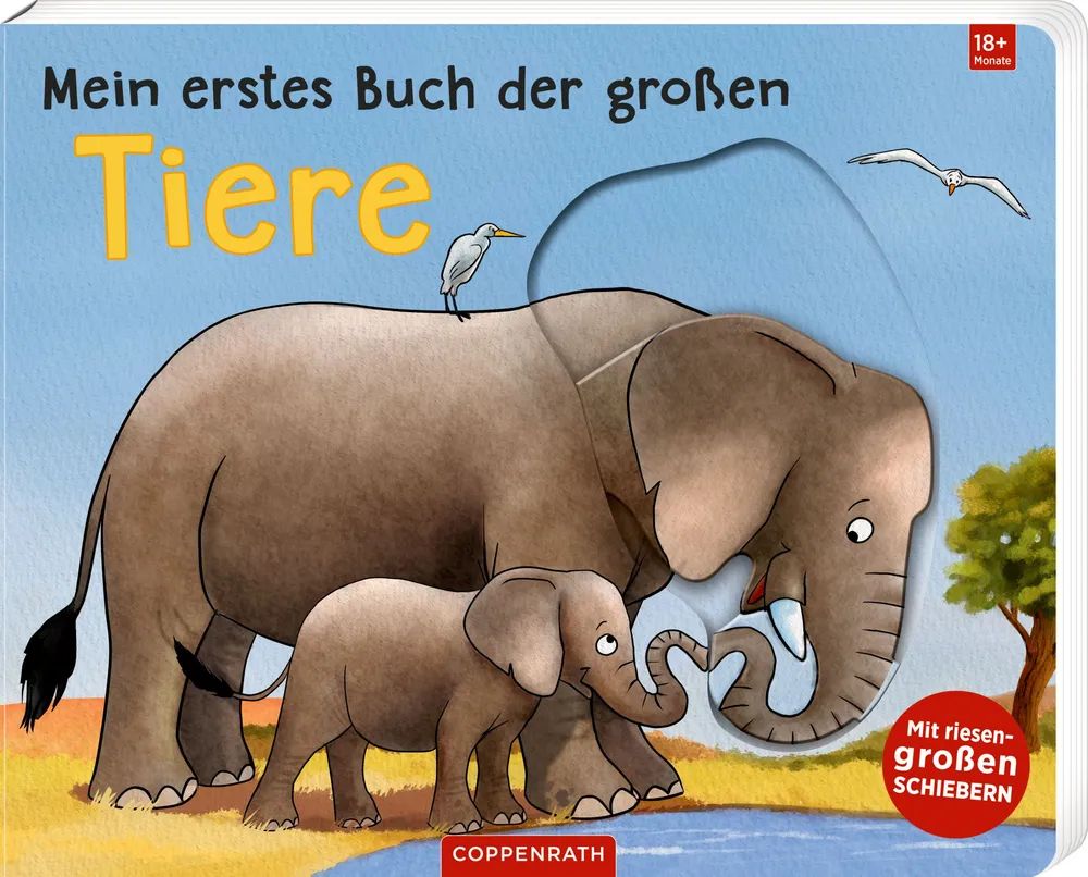 Coppenrath Verlag GmbH & Co.KG Mein erstes Buch der großen Tiere