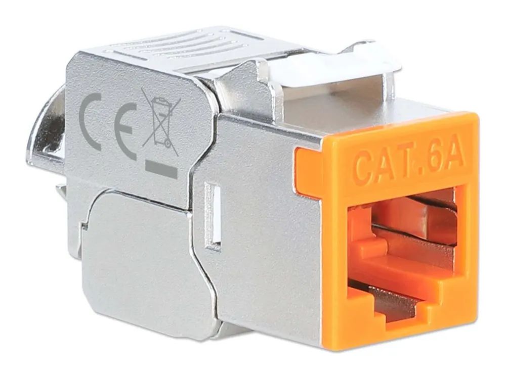 IC Intracom Intellinet - Modulare Eingabe - slim, toolless, 10G