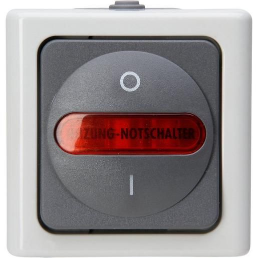 Kopp AP-FR HZGHPTSCHALTER GRAU / KOPP 562356009 BLUE ELEC 562356009