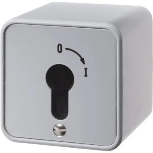 Hager SCHLÜSSELSCHALTER AP FÜR PROFI / HAGERS WDE4466