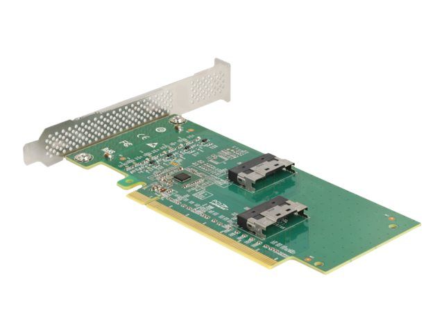 Delock Speicher-Controller - 4 Sender/Kanal