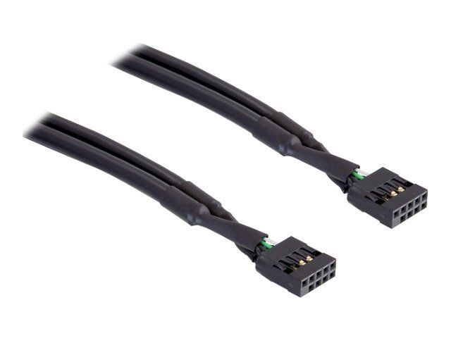 Delock USB-Kabel - 10-poliger USB-Header (W)