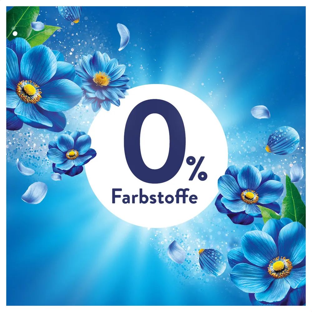 Lenor Küstenblumen & Zypresse Flasche - 798ml 