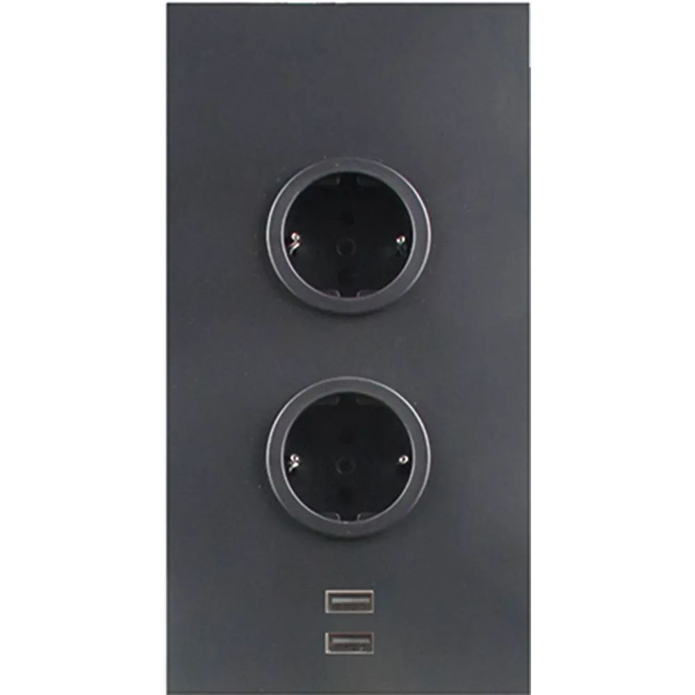 CARESSI Steckdosenelement 2ST20 2 Schukosteckdosen, 2 Stk. USB, schwarz