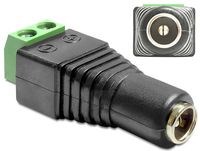 Delock Adapter DC 2.1 x 5.5 mm female > Terminal Block - Netzteil - 2-polige Klemmleiste (W)