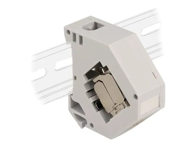 Delock Modularadapter - DIN schienenmontierbar