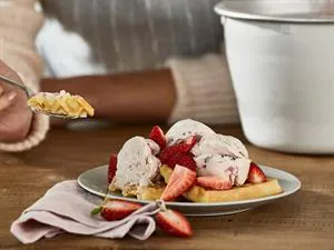 Kenwood Zubehör Eiscremebereiter KAX71.000WH