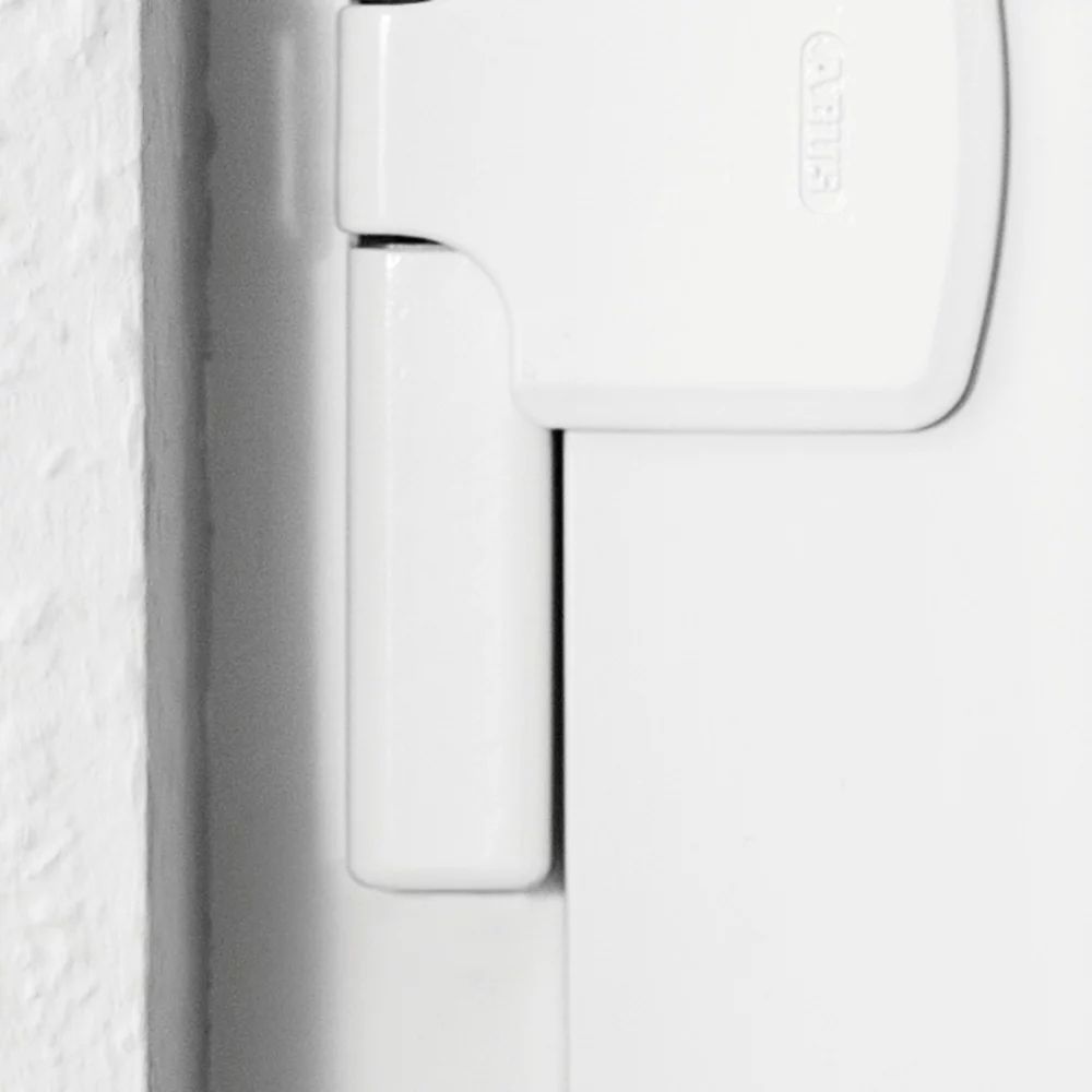ABUS FAS101 S 