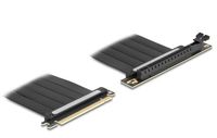 Delock Riser Card