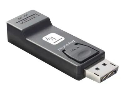 Techly Videoadapter - DisplayPort männlich eingerastet zu HDMI weiblich