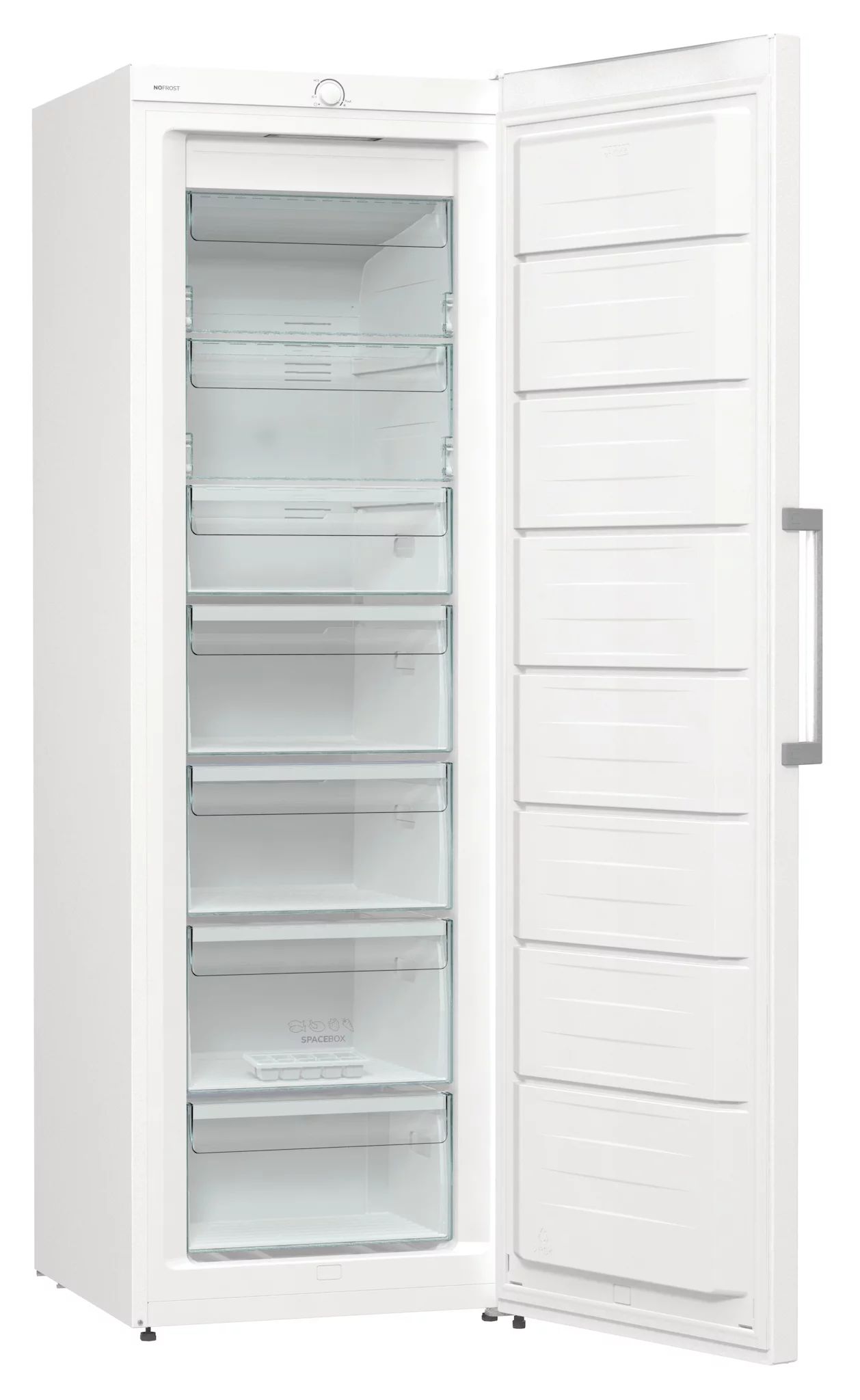 Gorenje FN619EEW5 