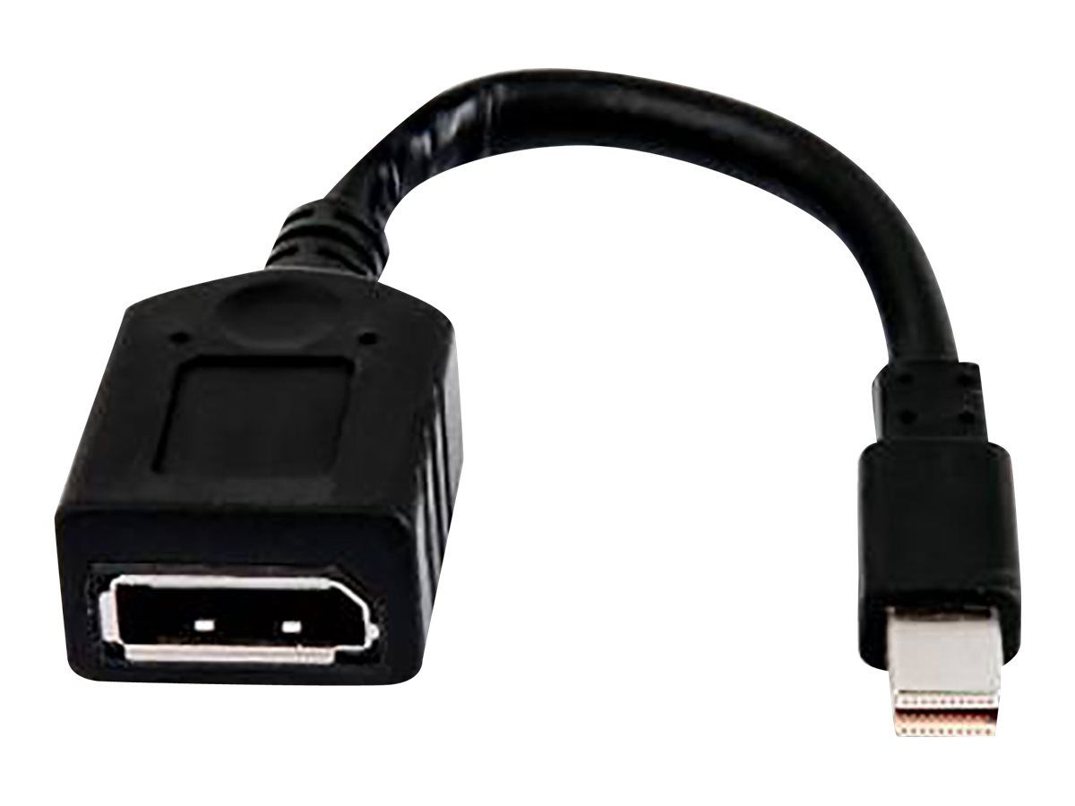 HP DisplayPort-Kabel - Mini DisplayPort (M)
