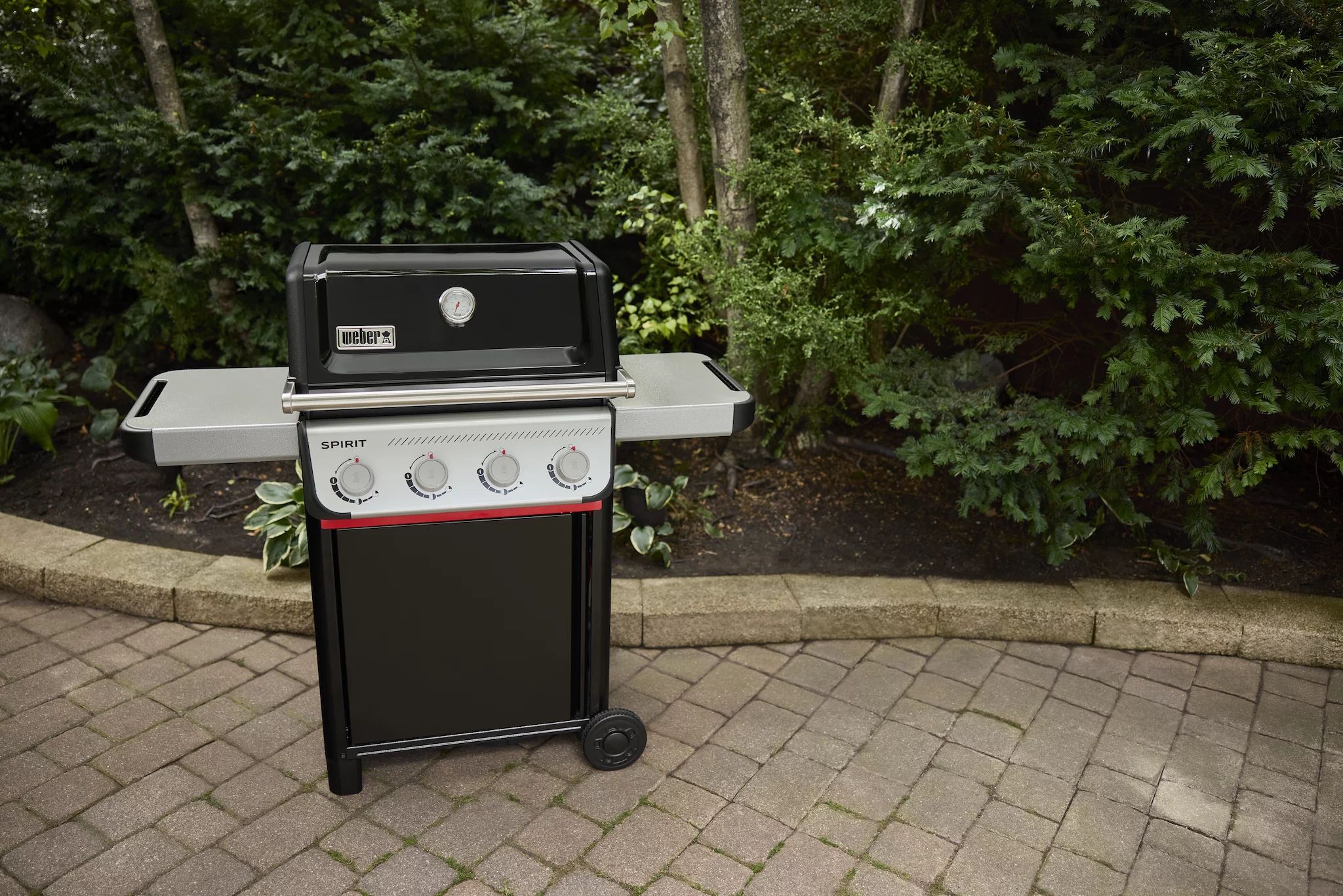 Weber SPIRIT E-410 (2025)