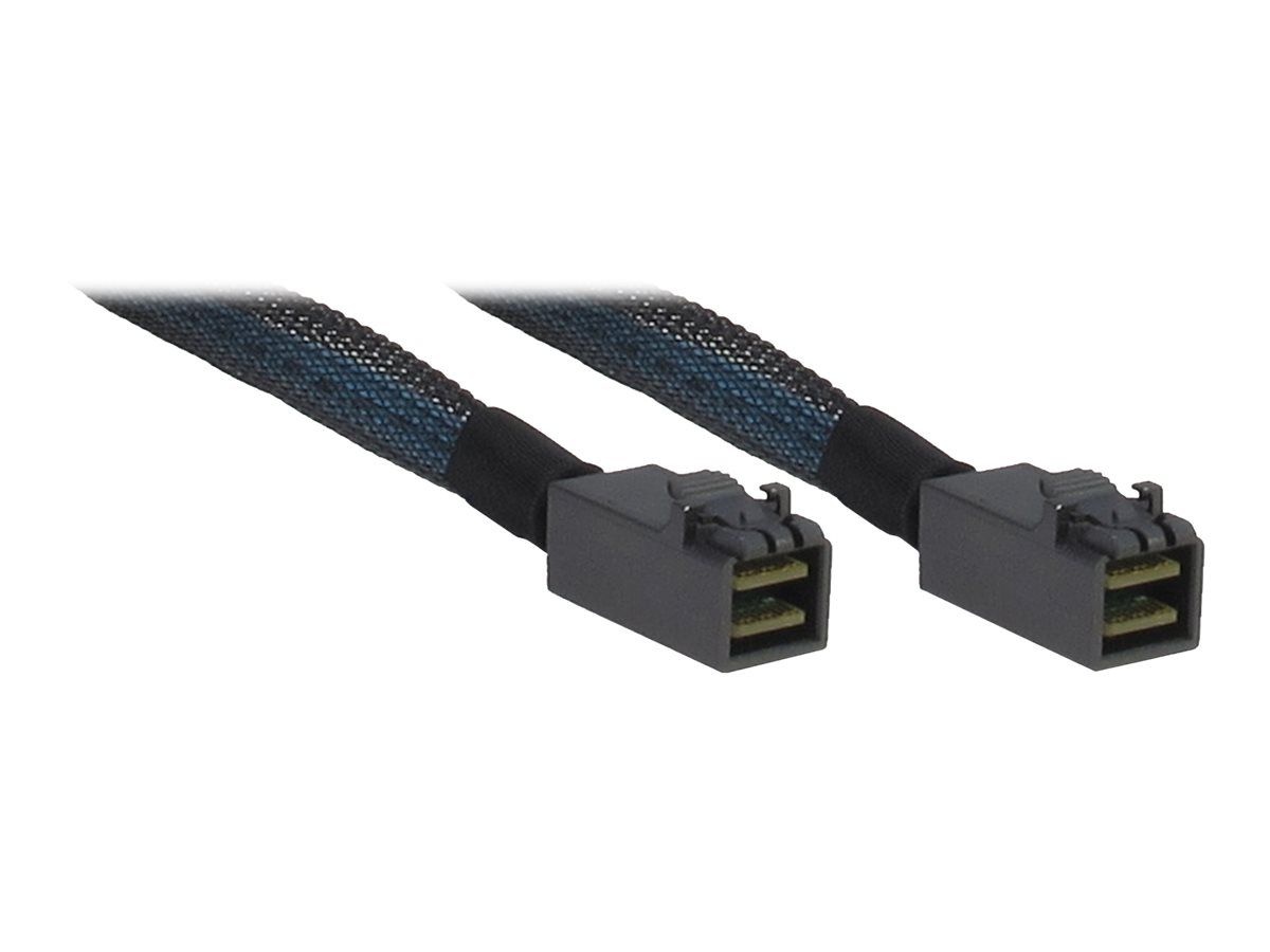 Inter-Tech Internes SAS-Kabel - SAS 12Gbit/s - 4x Mini SAS HD (SFF-8643)