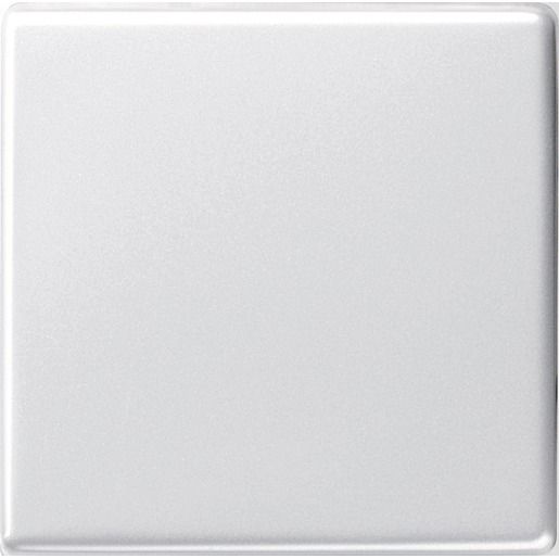 Gira WIPPE F.WECHSEL+KREUZSCHALTER / GIRA 029603RWS GL.SYST.55 029603