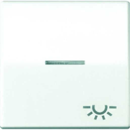 Jung WIPPE M.LINSE+SYMBOL LICHT / JUNG AS 591 KO5L WW AS591KO5LWW