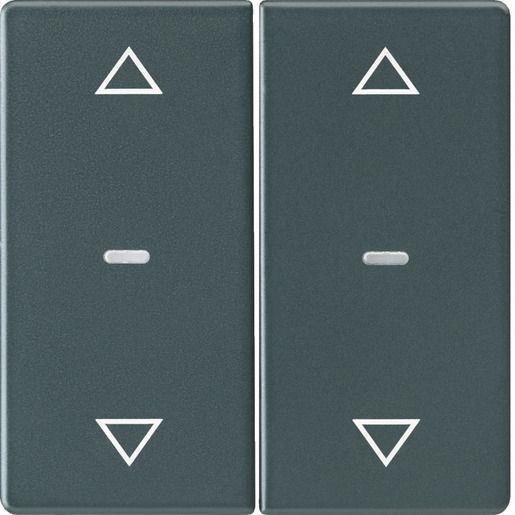 Berker KNX Q.X ABD.2F.ANTHRAZIT SAMT / BERKER 80961326 PFEILE 2F. 80961326